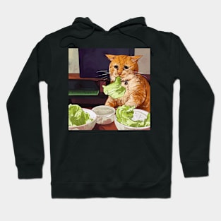 cat in a diet Hoodie